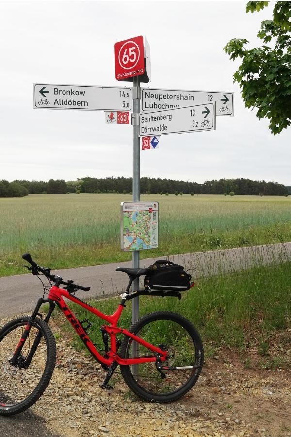Ferienwohnung Seenland Grossraeschen Esterno foto